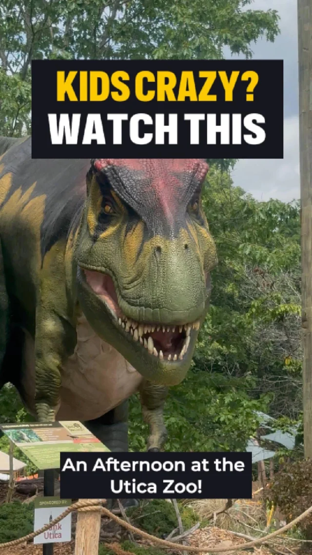 Kids driving you crazy? Has it been a while since you've been to the @uticazoo ? Check it out before the dino exhibits go extinct. 

#uticazoo #utica #mohawkvalley #whatshappening315