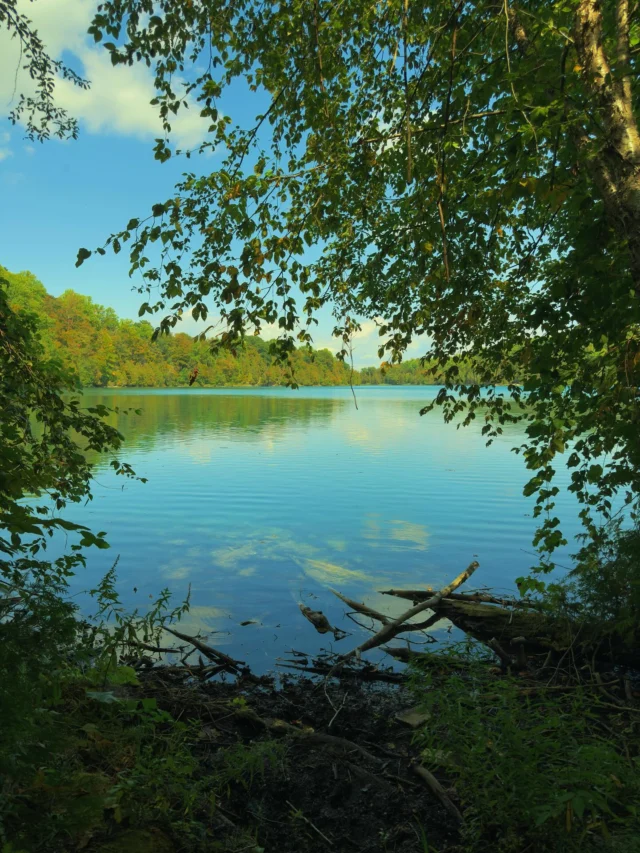 Few pictures from Green Lakes today. #greenlakes #syracuse #natureportrait