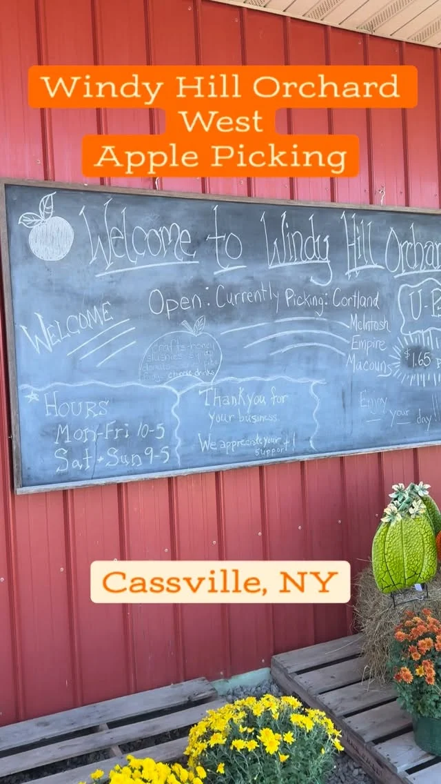 Apple picking in the 315. Check out @windyhillorchard_west in Cassville. Perfect for apples, cider, and delicious donuts.